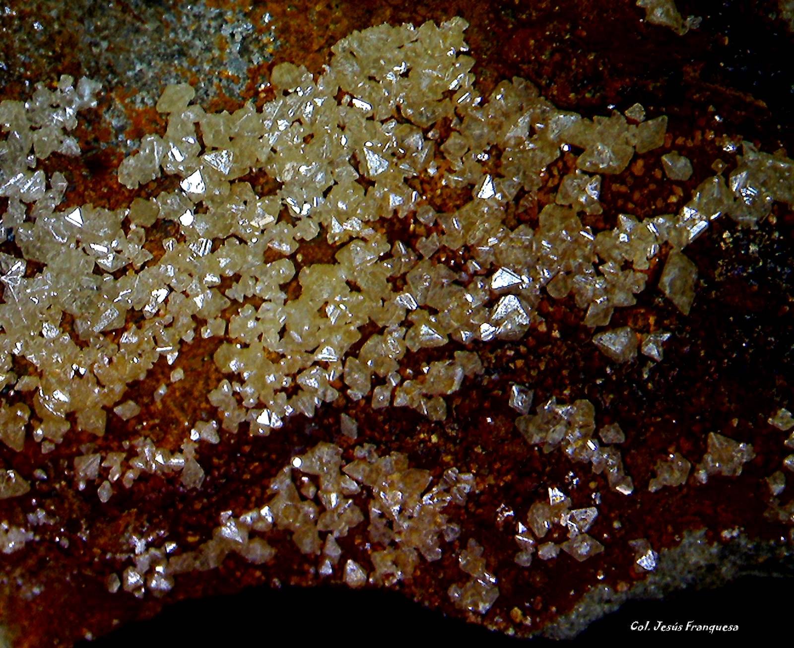 Wulfenita
6´433 x 5´307 mm.
(Autor: Jesus Franquesa Baucells)