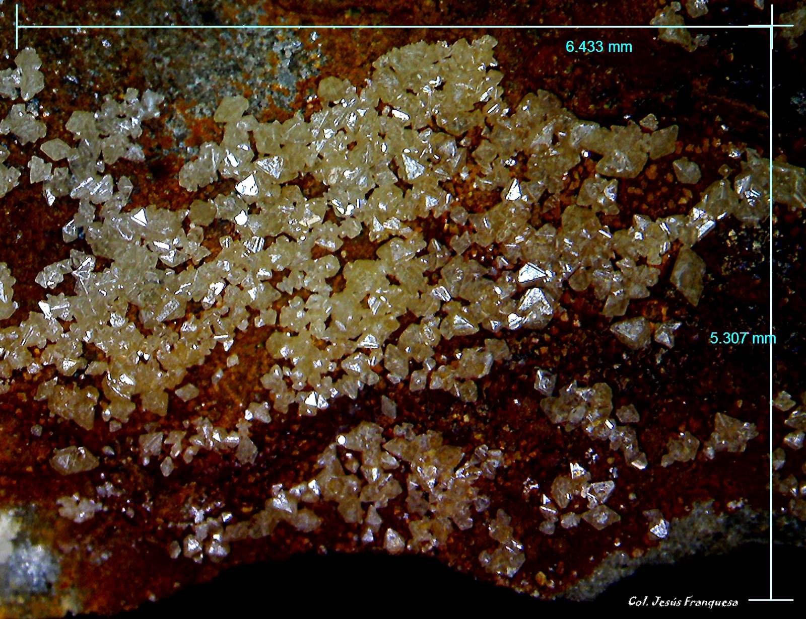 Wulfenita
6´433 x 5´307 mm.
(Autor: Jesus Franquesa Baucells)