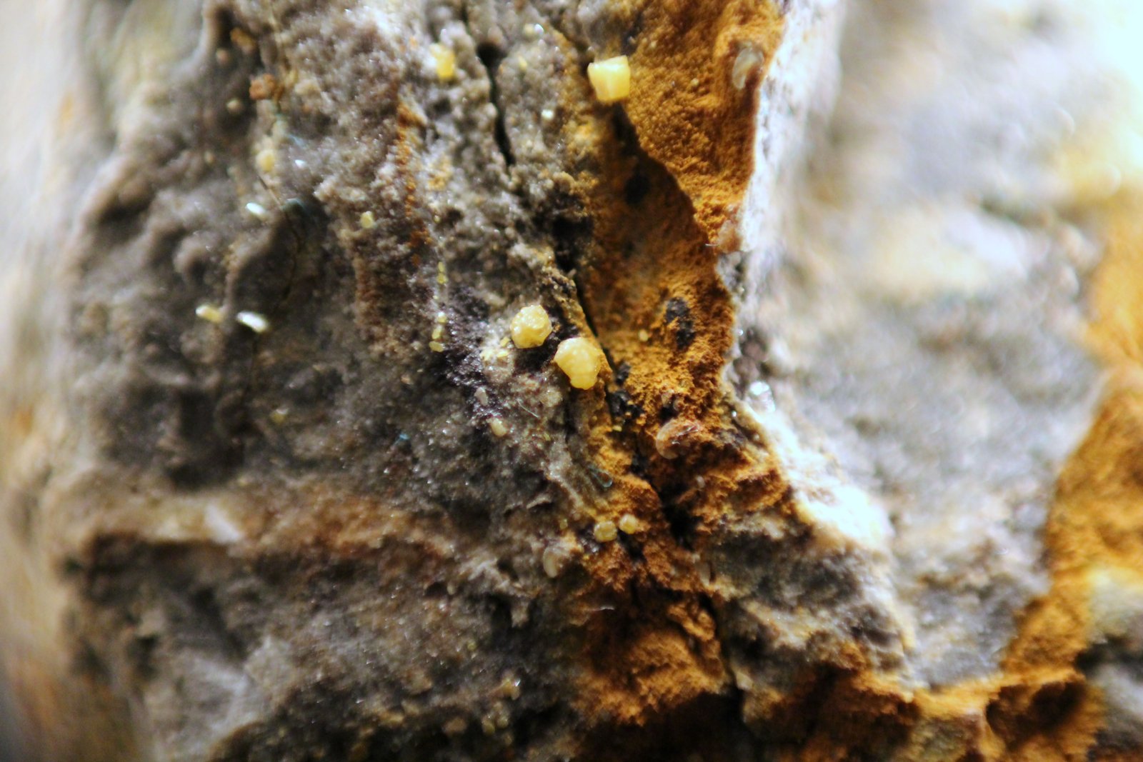 Wulfenita
64 x 37 x 37 mm.
(Autor: José Luis Zamora)