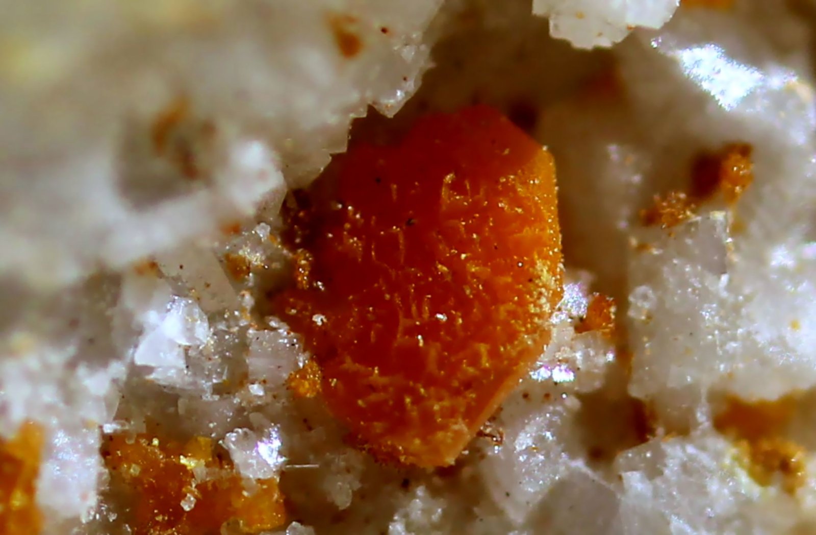 Wulfenita
30 x 29 x 21 mm.
(Autor: José Luis Zamora)