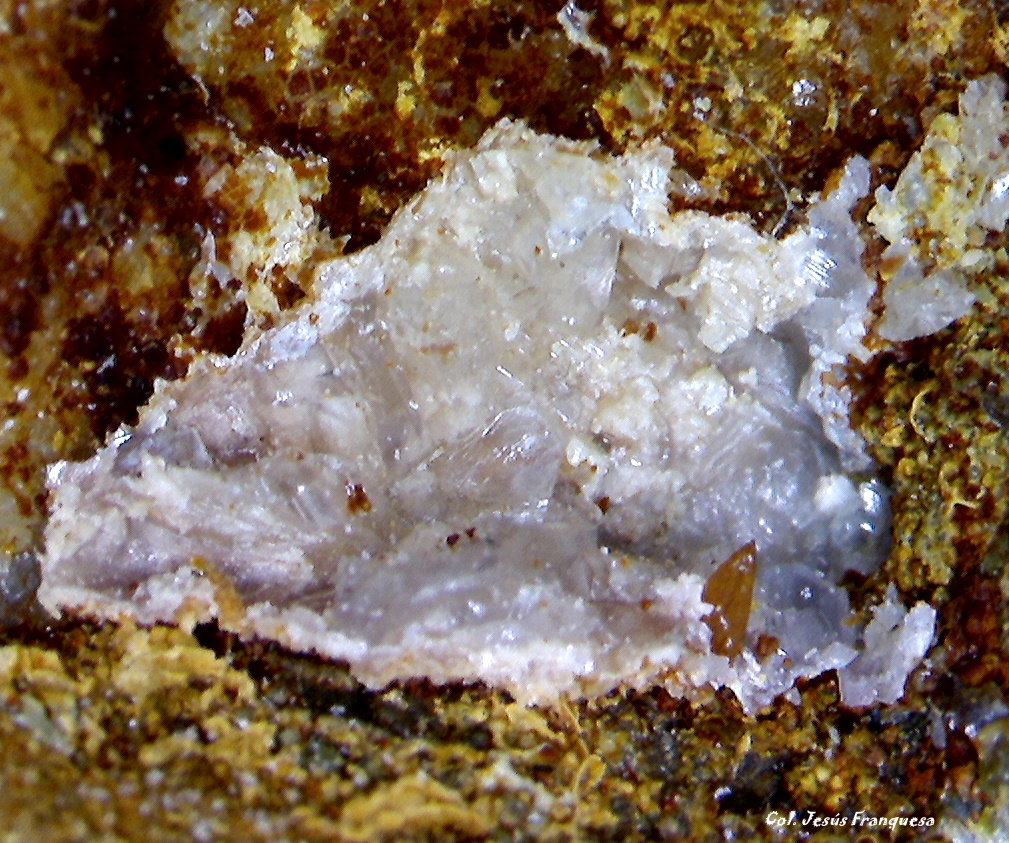 Wulfenita.
0´347 x 0´244 mm.
(Autor: Jesus Franquesa Baucells)