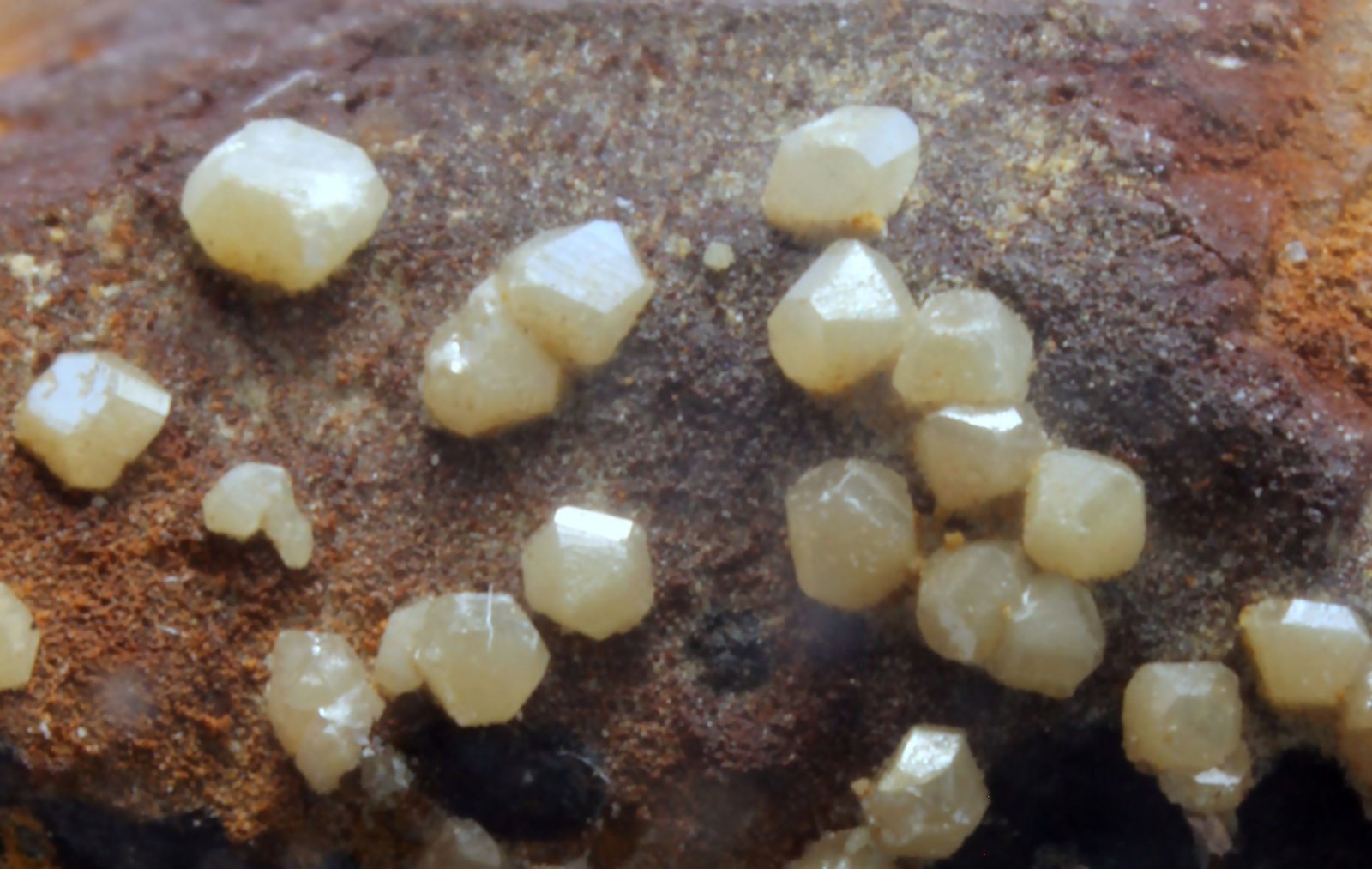 Wulfenita
20 x 15 x 12 mm.
(Autor: José Luis Zamora)
