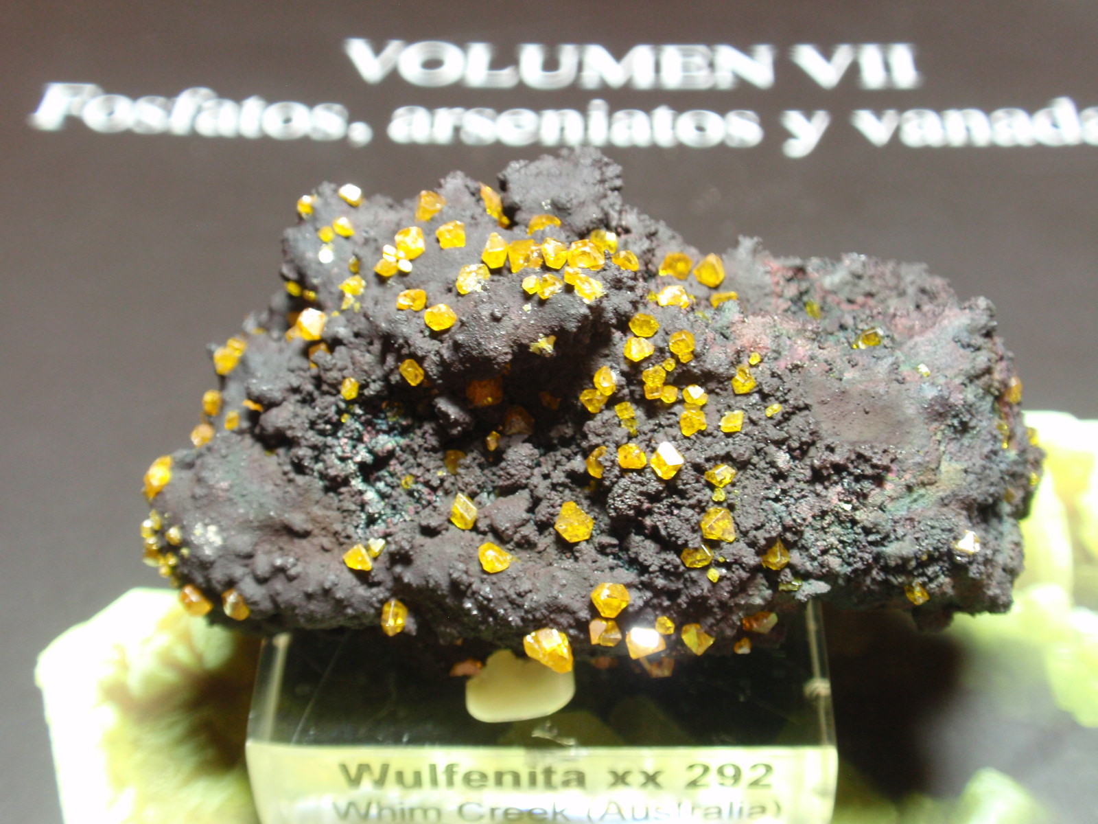 Wulfenita
55x30 mm
(Autor: Ignacio)