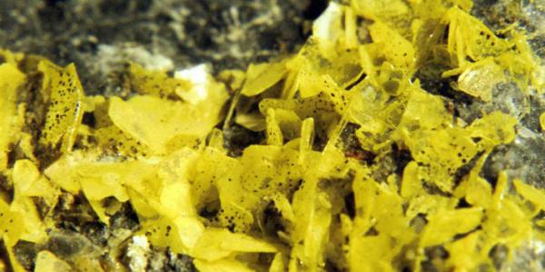 Wulfenita
5 x 3 cm. la pieza
(Autor: pepe morales)