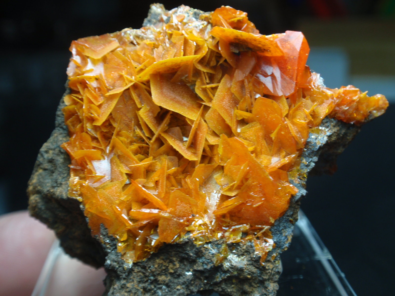 Wulfenita
50x45 mm
(Autor: Ignacio)