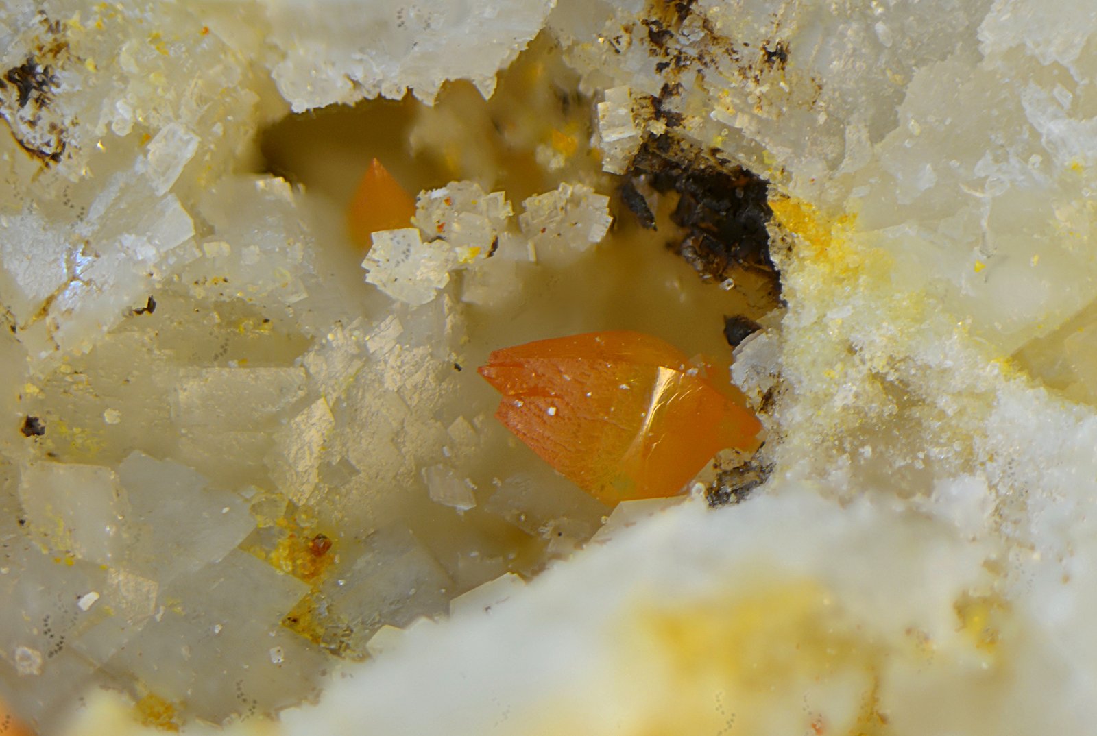 Wulfenita
Campo de visión de 2 mm
(Autor: Antonio Carmona)