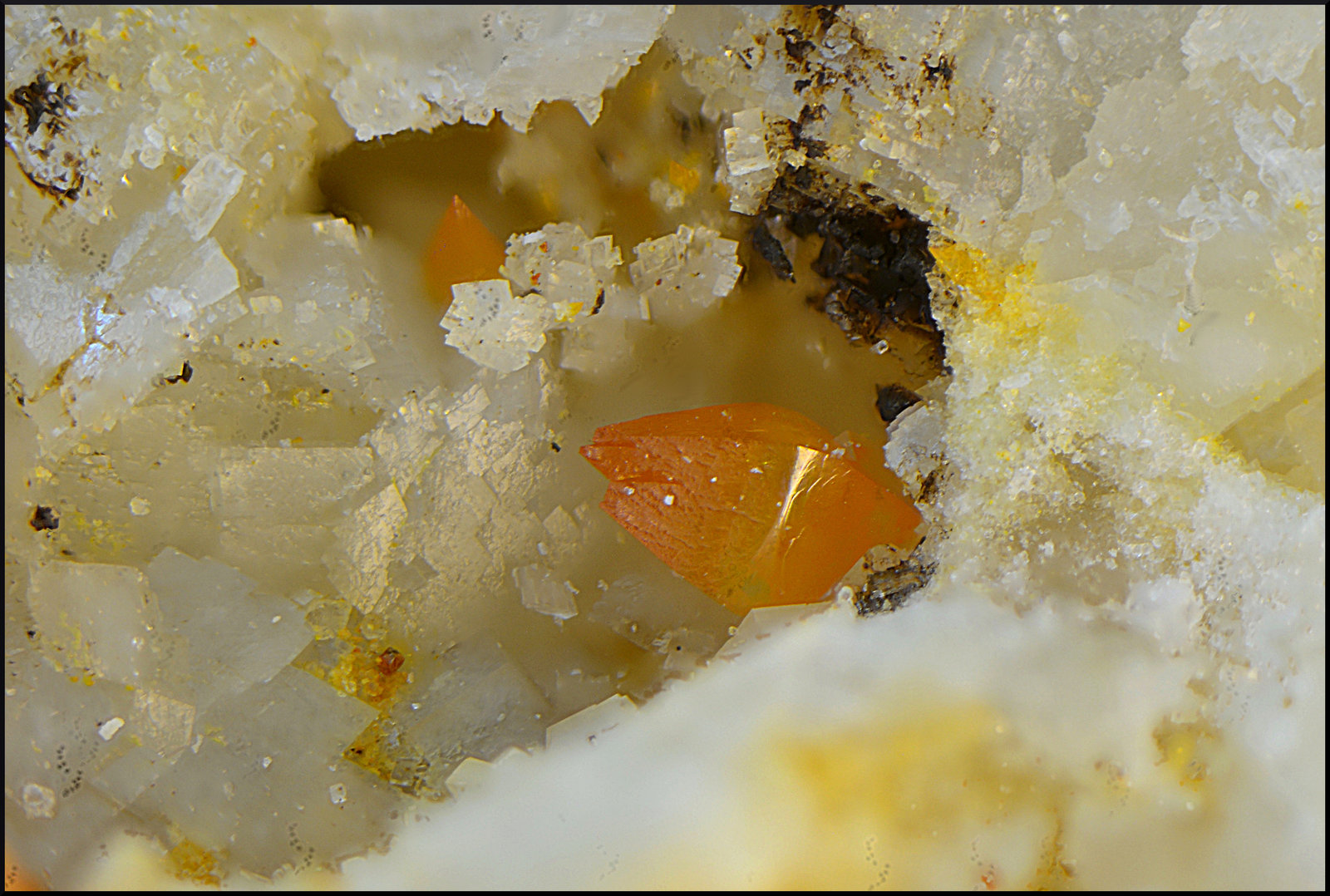 Wulfenita
Campo de visión de 2 mm
(Autor: Antonio Carmona)