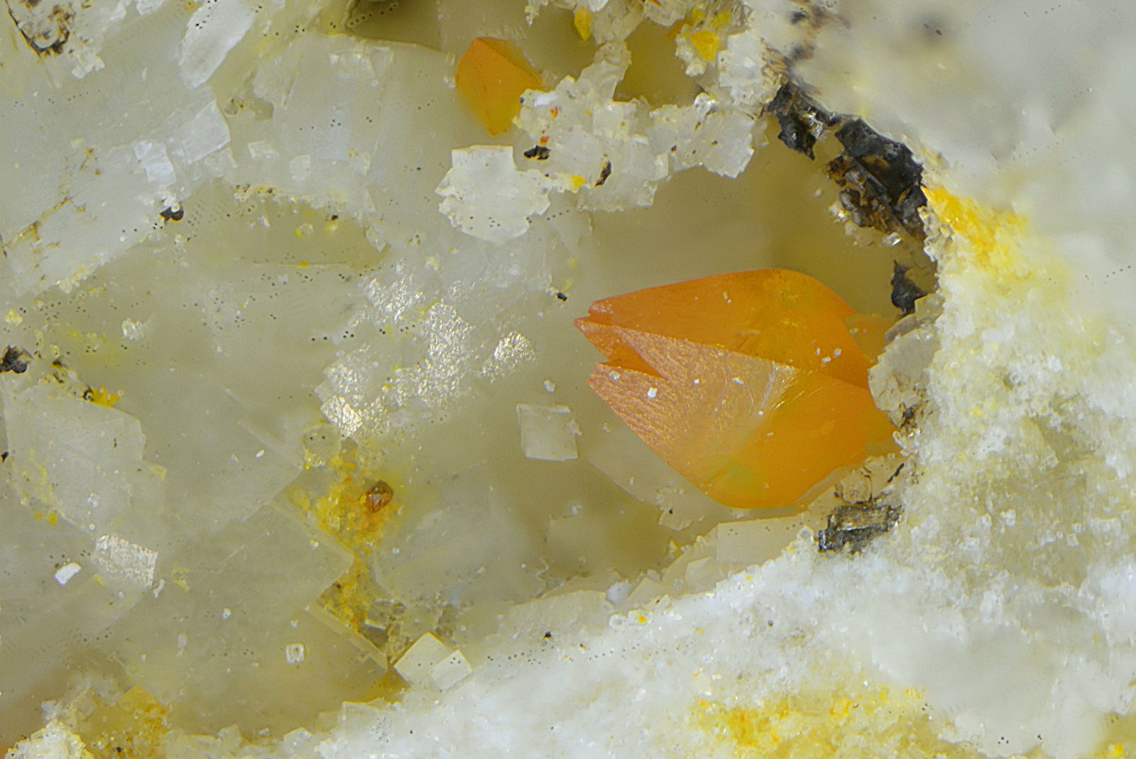 Wulfenita
Campo de visión de 2 mm
(Autor: Antonio Carmona)
