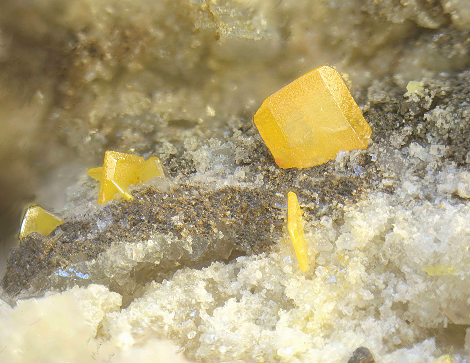 Wulfenita
Campo de visión de 3 mm.
(Autor: Antonio Carmona)