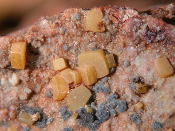 Wulfenita con plumbogummita
Campo de vision 0.5 cm.
(Autor: Cesar M. Salvan)