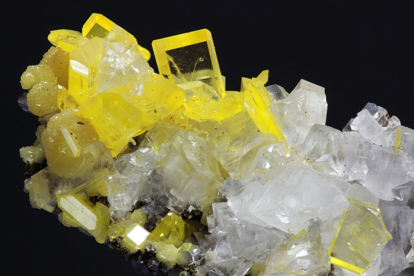 Wulfenita
35 x 25 mm
(Autor: Ramon A  Lopez Garcia)