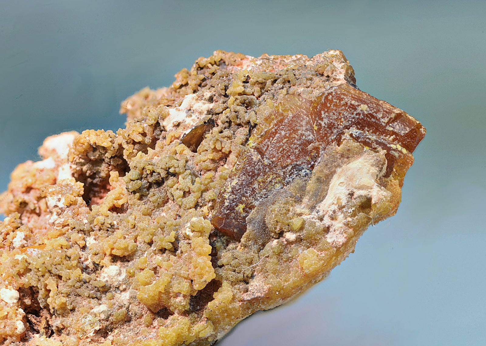 Wulfenita sobre piromorfita-mimetita.
Cristal de wulfenita de 9 mm.
(Autor: Antonio Carmona)