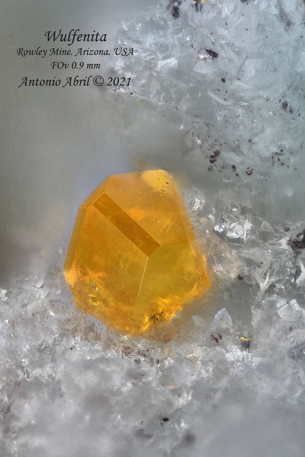 Wulfenita
0.9 mm
(Autor: Antonio Abril)