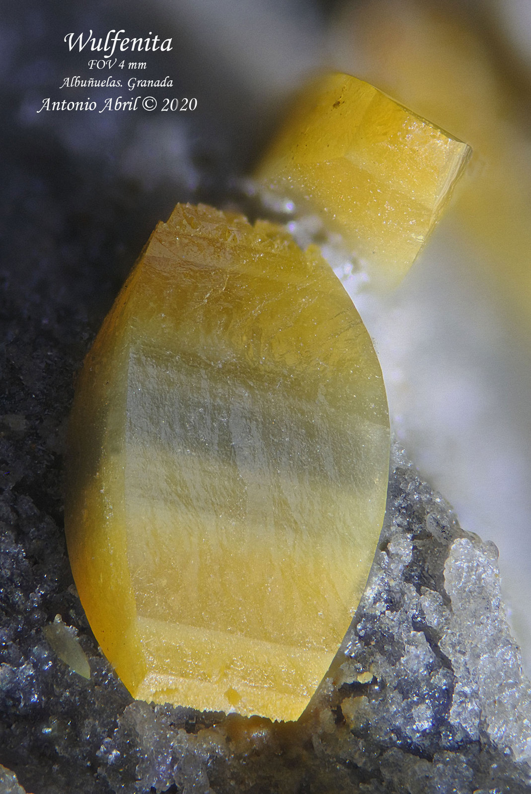 wulfenita
4 mm
(Autor: Antonio Abril)