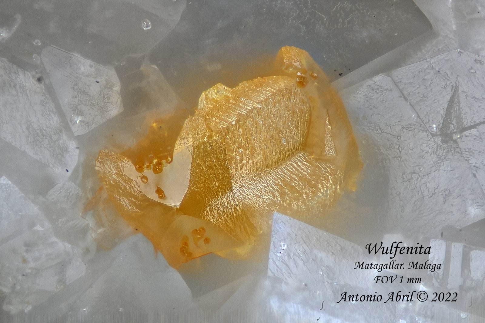 Wulfenita
1 mm
(Autor: Antonio Abril)