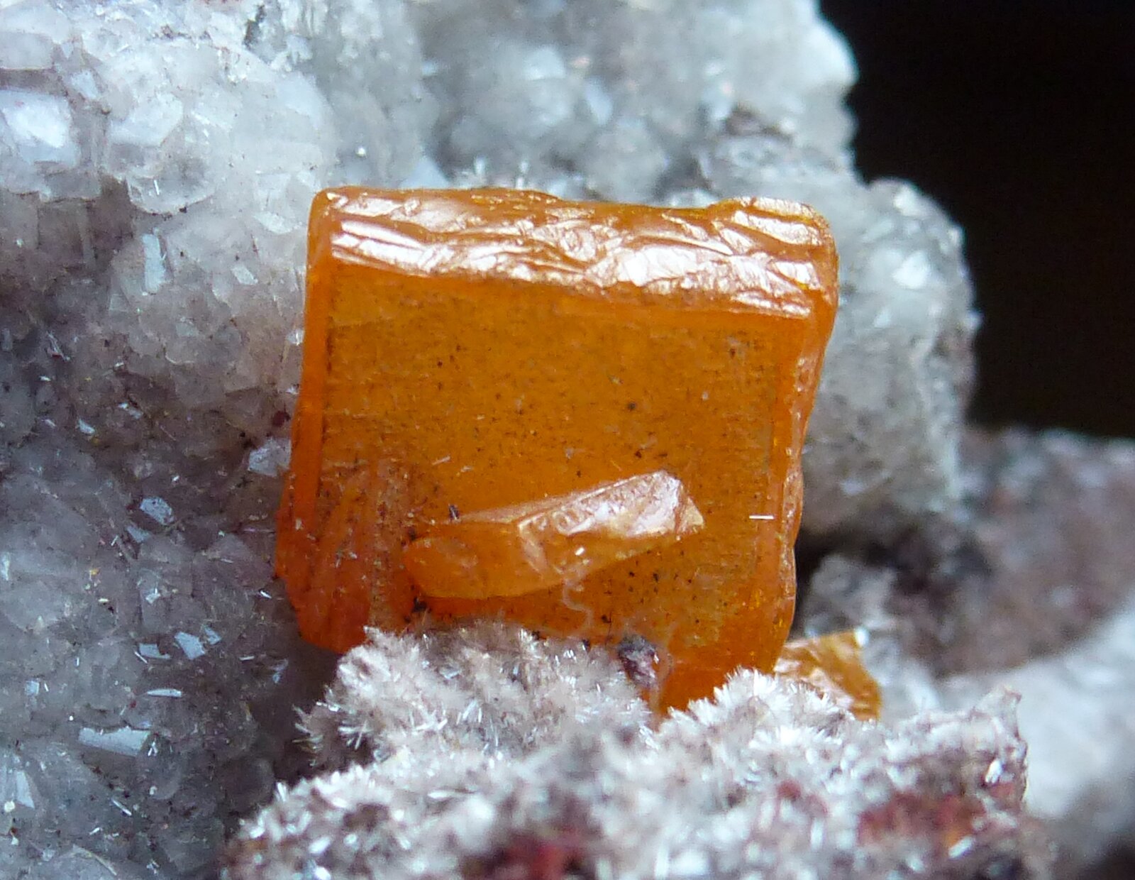Wulfenita
Erupción Mine (Ahumada Mine), Los Lamentos Mountain Range, Municipio Ahumada, Chihuahua, Mexico
6 x 5 cm la pieza, 1 x 1cm. el cristal mayor
(Autor: javier ruiz martin)