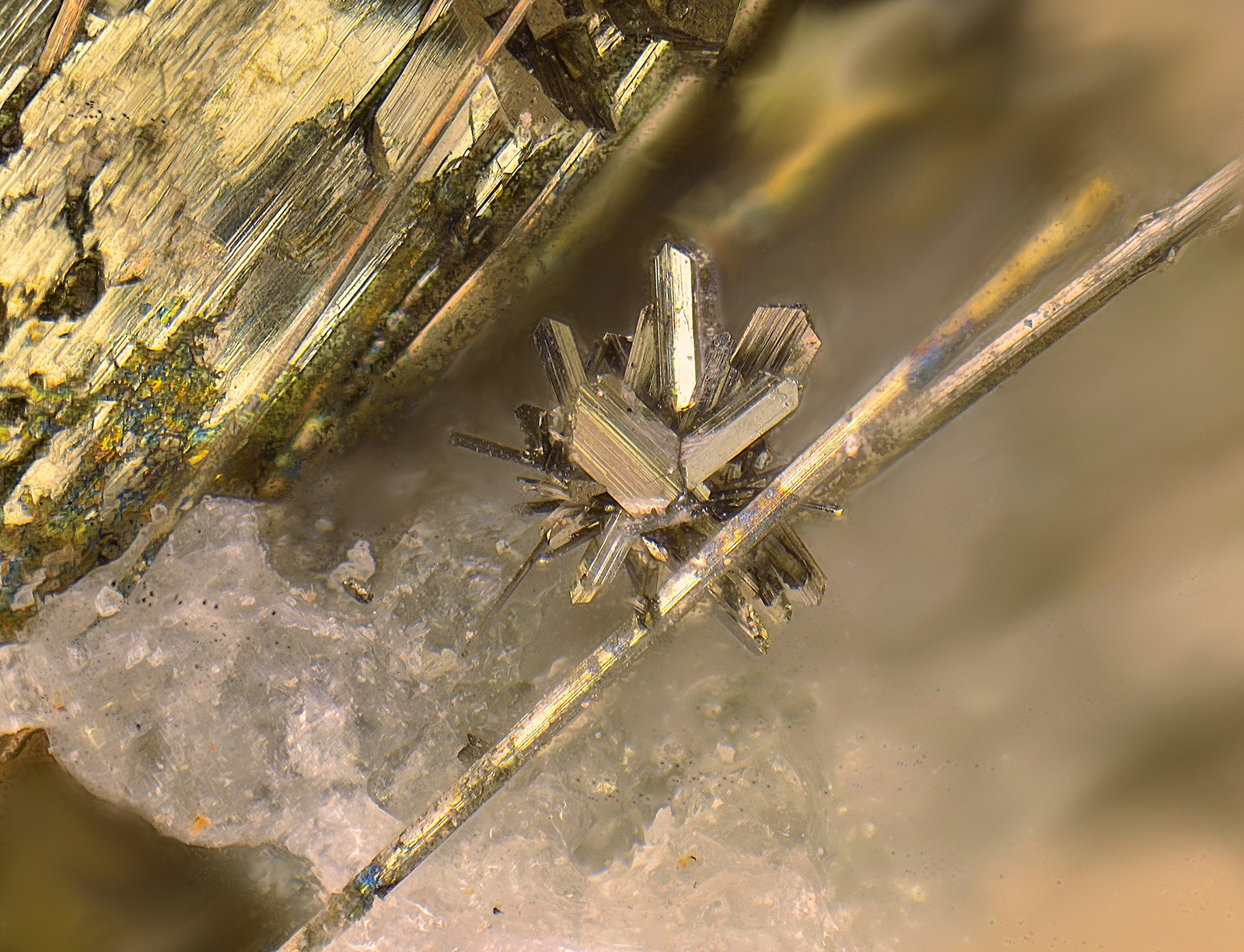 Bismutinita y Arsenopirita
Campo de visión de 2 mm
(Autor: Antonio Carmona)