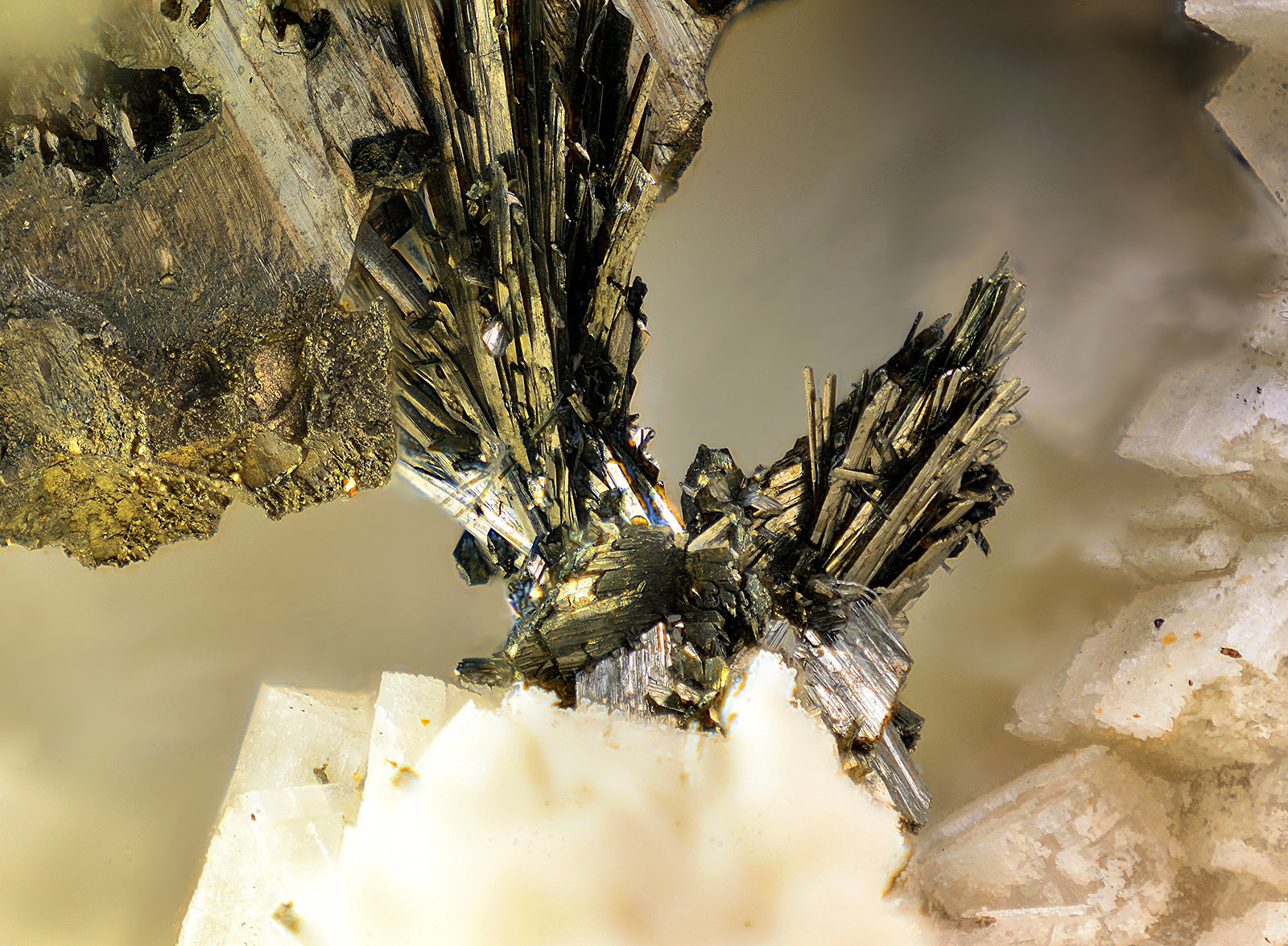 Arsenopirita y bismutinita
Campo de visión de 6 mm
(Autor: Antonio Carmona)