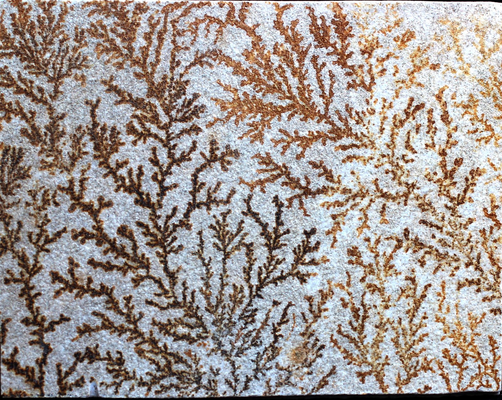 óxido de manganeso
115 X 90 X 5 mm.
(Autor: José Luis Zamora)