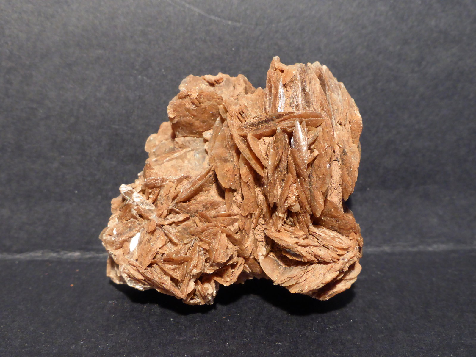Yeso
4x4 cm
(Autor: Ander Ispizua Juan)