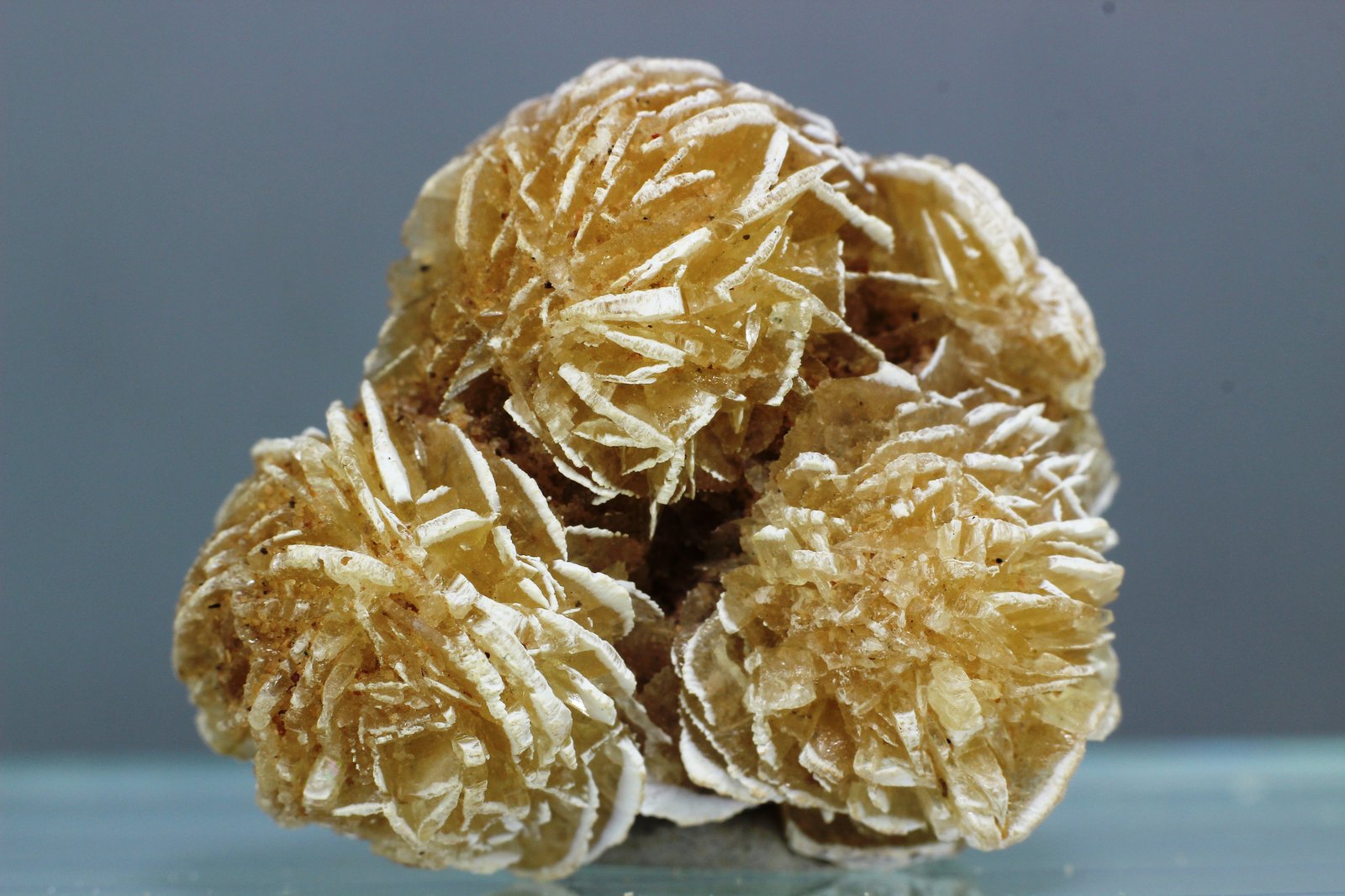 Yeso
28x25 mm
(Autor: Juan Espino)