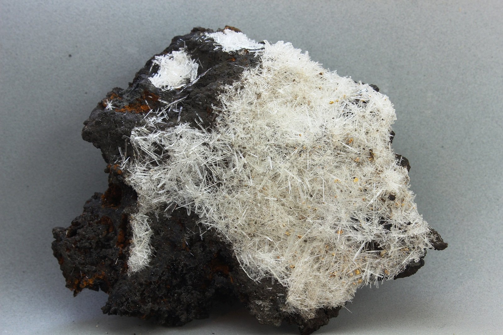 Yeso
92x78 mm
(Autor: Juan Espino)