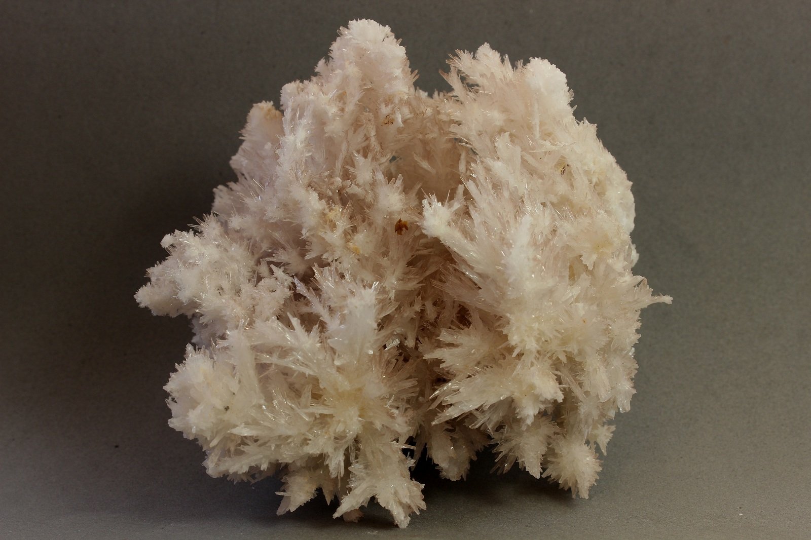 Yeso
80x77x48 mm
(Autor: Juan Espino)