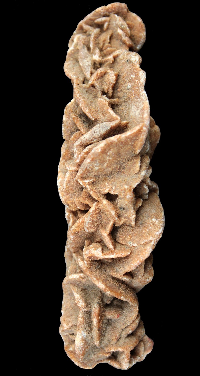 Yeso (variedad rosa del desierto)
108x31x31mm.
(Autor: José Luis Zamora)