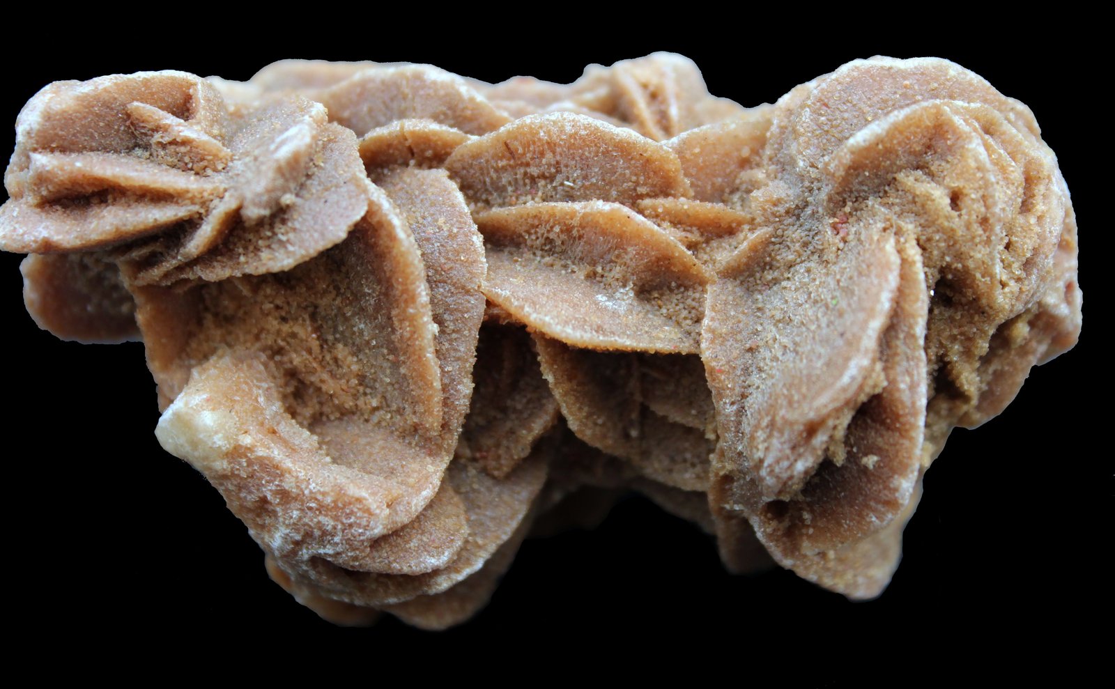 Yeso (variedad rosa del desierto)
70 x 58 x 43 mm.
(Autor: José Luis Zamora)