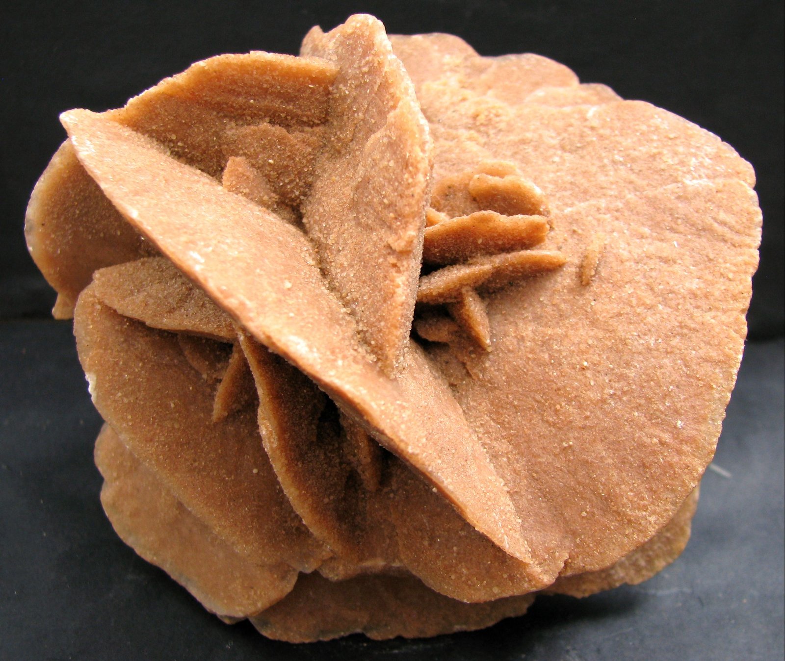 Yeso
130 x 115 x 115 mm.
(Autor: José Luis Zamora)