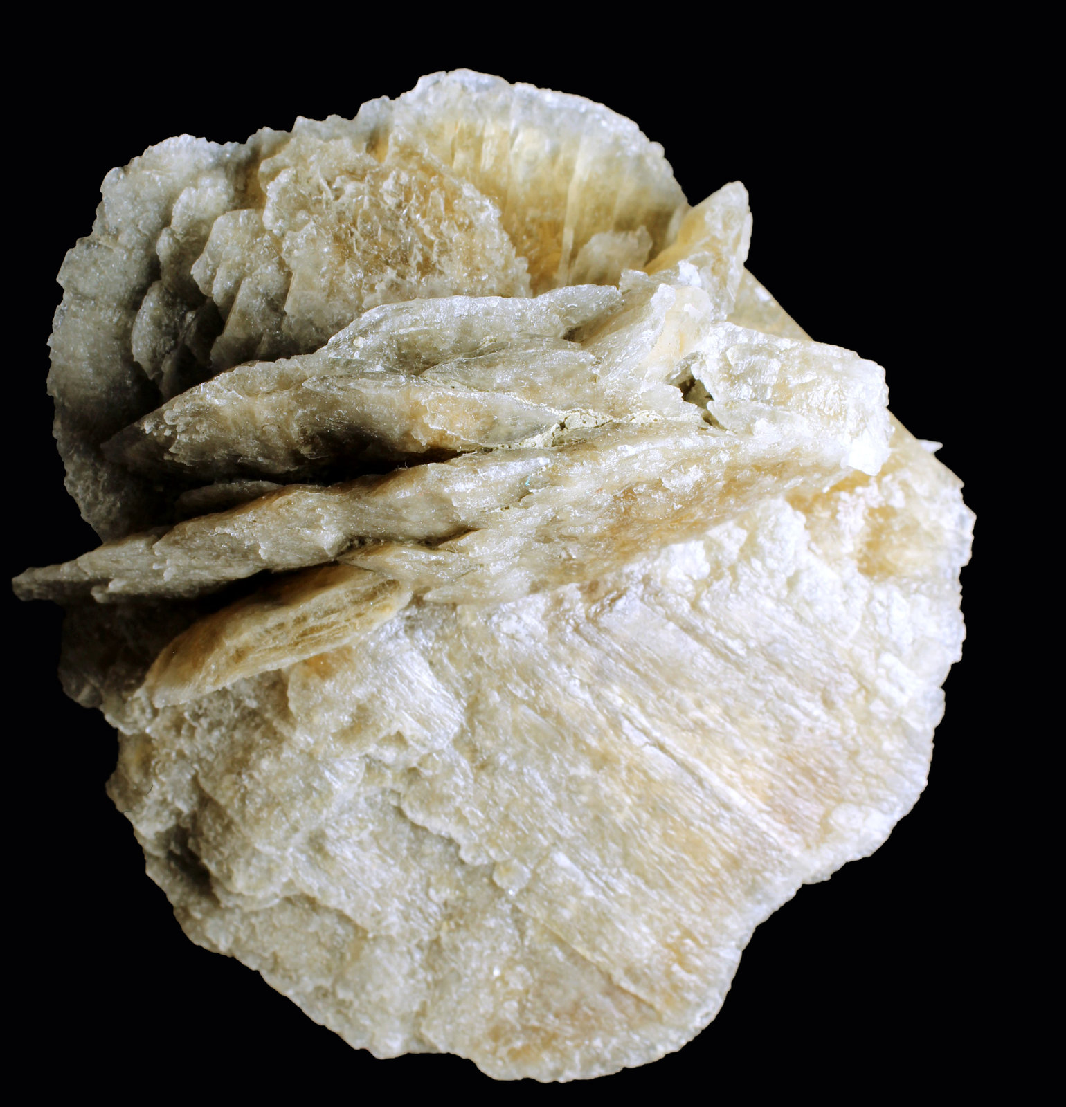 Yeso
57 x 50 x 46 mm.
(Autor: José Luis Zamora)