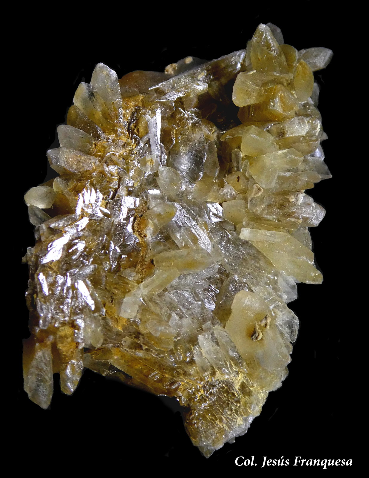Yeso.
50x40 mm.
(Autor: Jesus Franquesa Baucells)