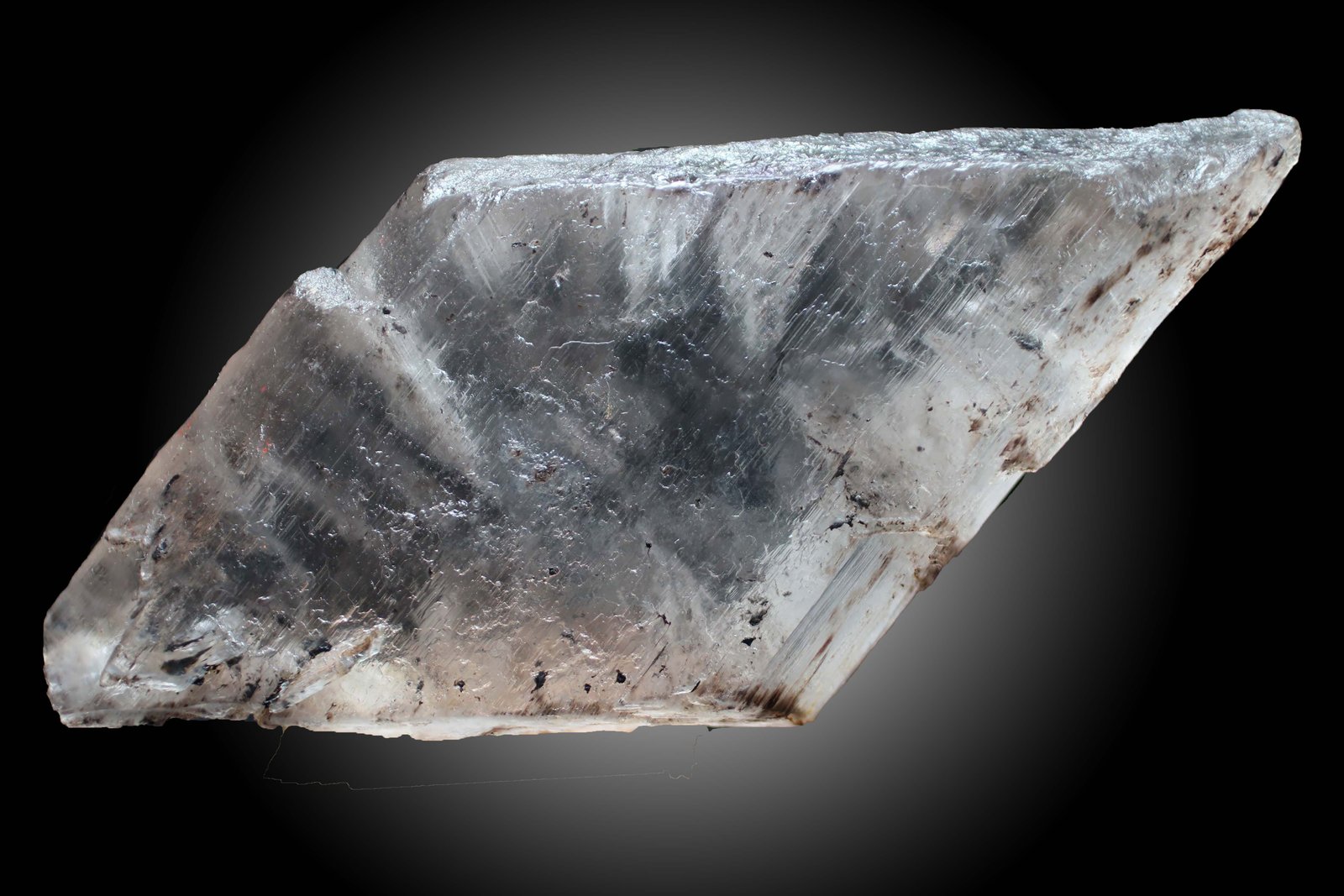 Yeso
56 x 50 x 23 mm
(Autor: José Luis Zamora)