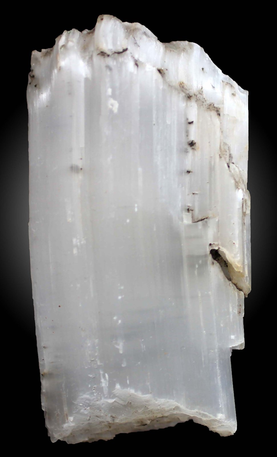 Yeso
75 x 42 x 20 mm
(Autor: José Luis Zamora)