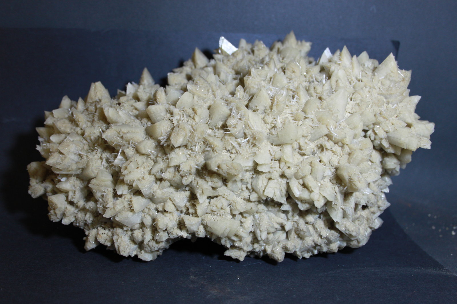 Yeso
24 x 14 cm.
(Autor: Joaquin Blanco Cortina)