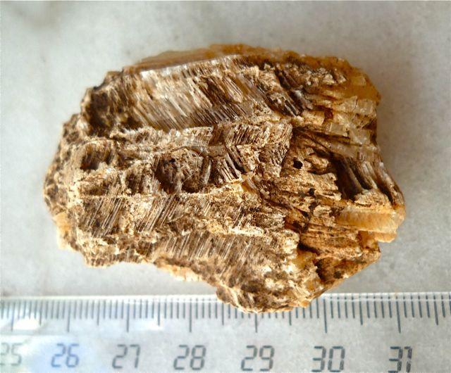 Yeso
5 cm.
(Autor: María Jesús M.)