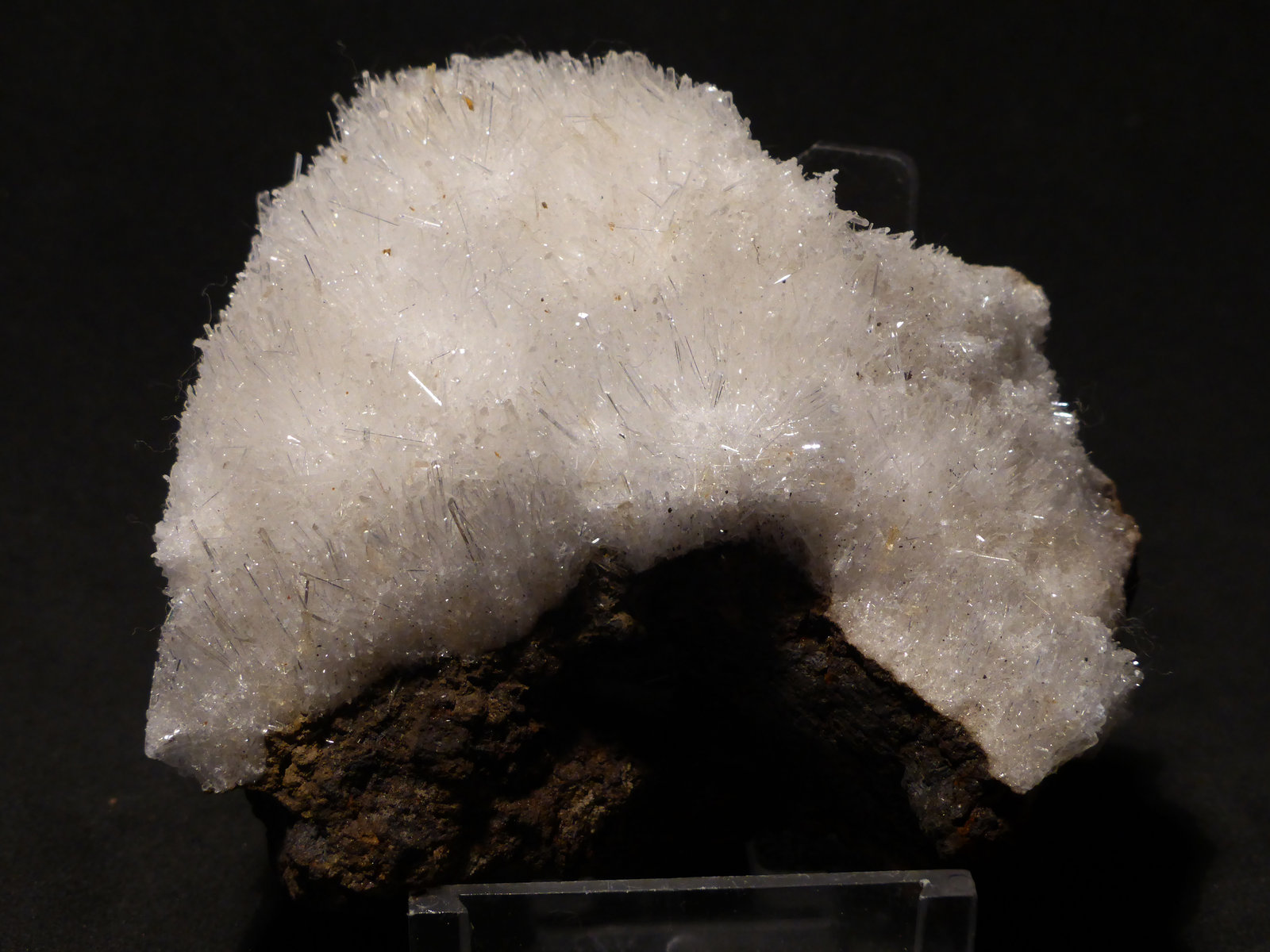 Yeso
7x6,5 cm
(Autor: Ander Ispizua Juan)