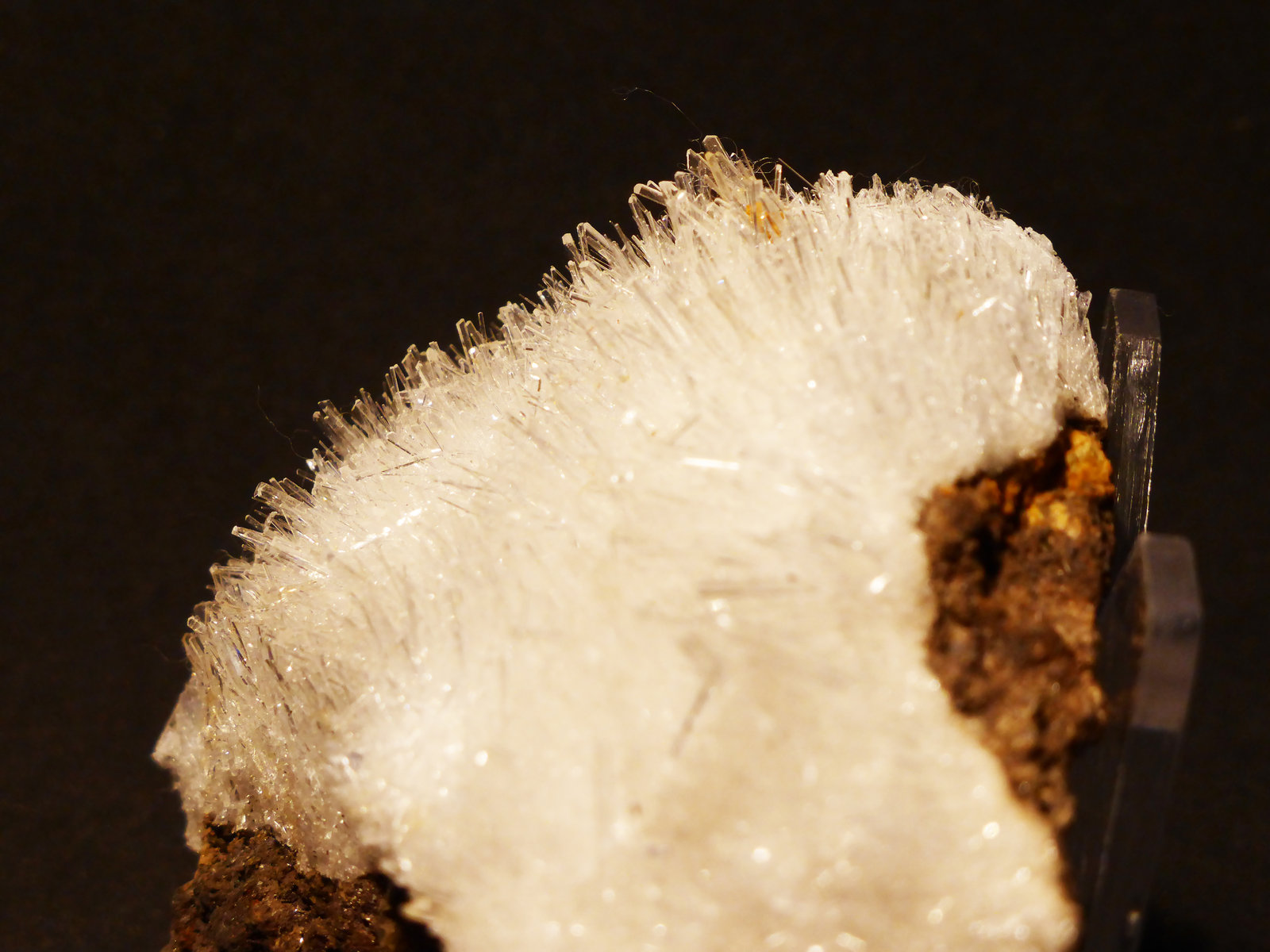 Yeso
7x6,5 cm
(Autor: Ander Ispizua Juan)