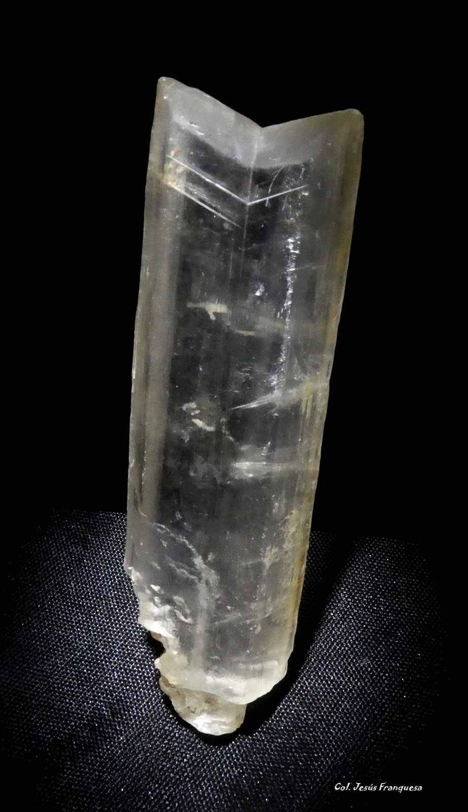 Yeso.
61x18x7 mm.
(Autor: Jesus Franquesa Baucells)