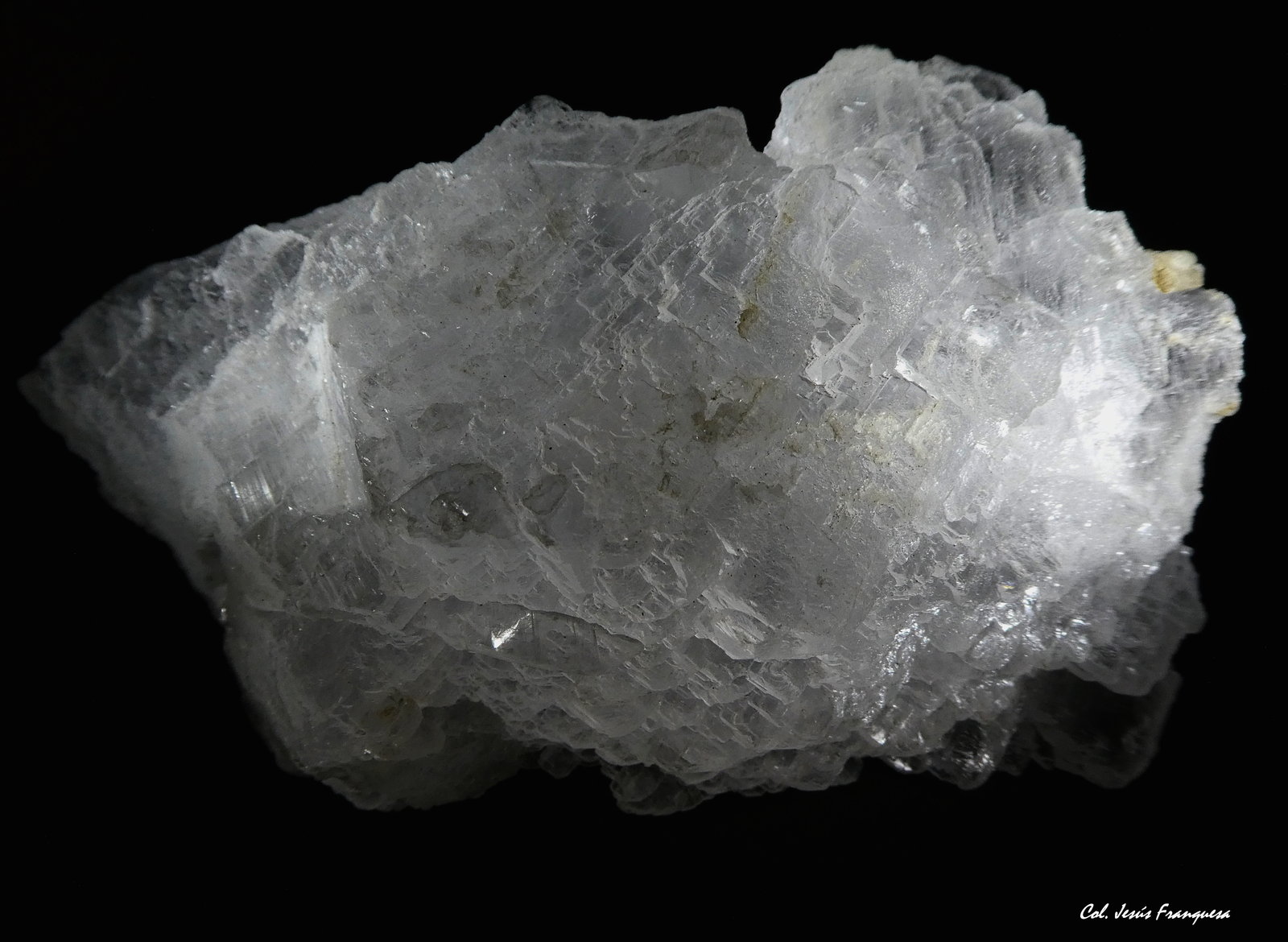 Yeso.
140x85 mm.
(Autor: Jesus Franquesa Baucells)