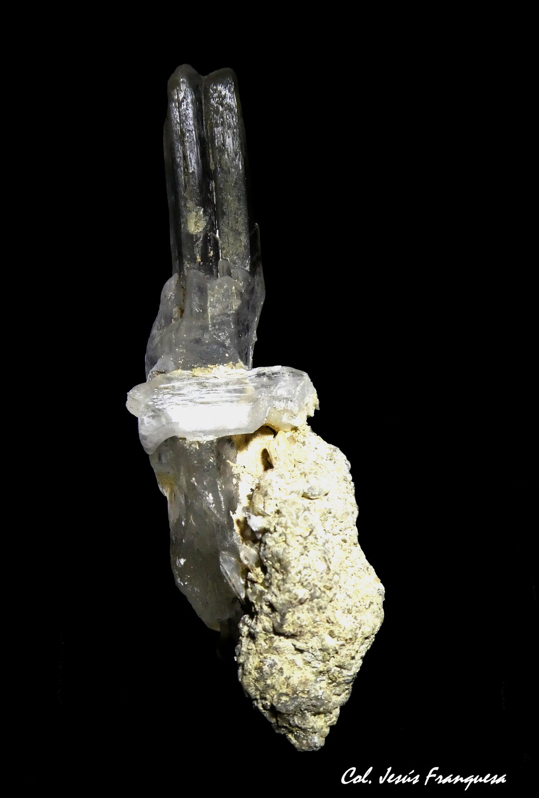 Yeso
64x21 mm
(Autor: Jesus Franquesa Baucells)
