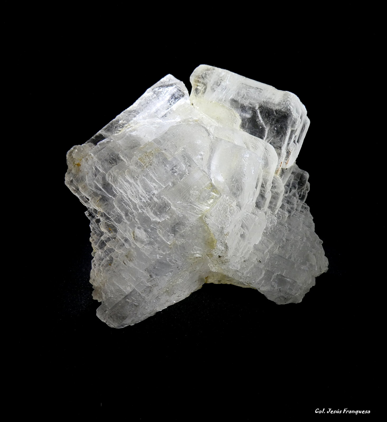 Yeso
83x80 mm.
(Autor: Jesus Franquesa Baucells)