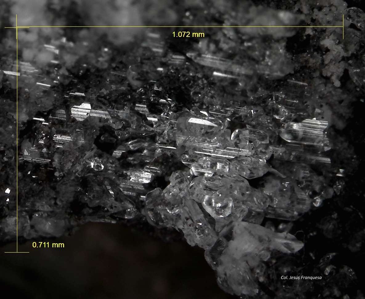Yeso.
1´072 x 0´711 mm.
(Autor: Jesus Franquesa Baucells)