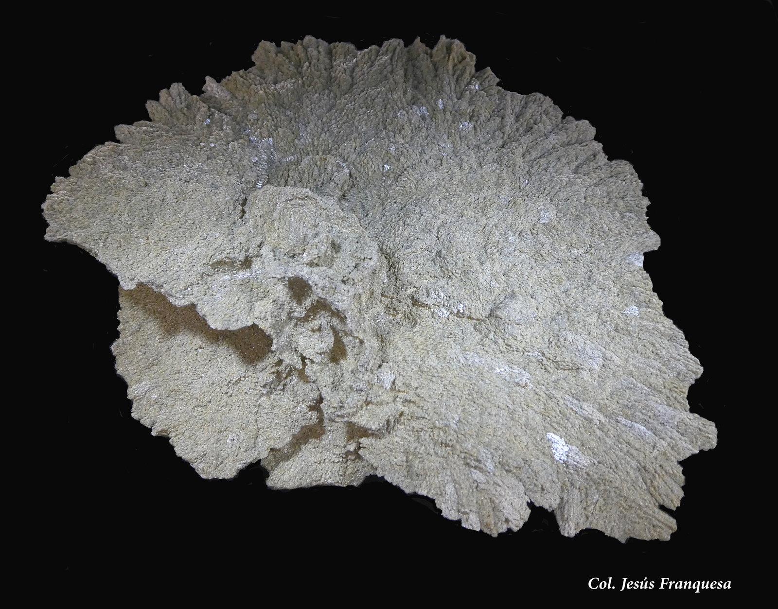 Yeso.
100x80 mm.
(Autor: Jesus Franquesa Baucells)