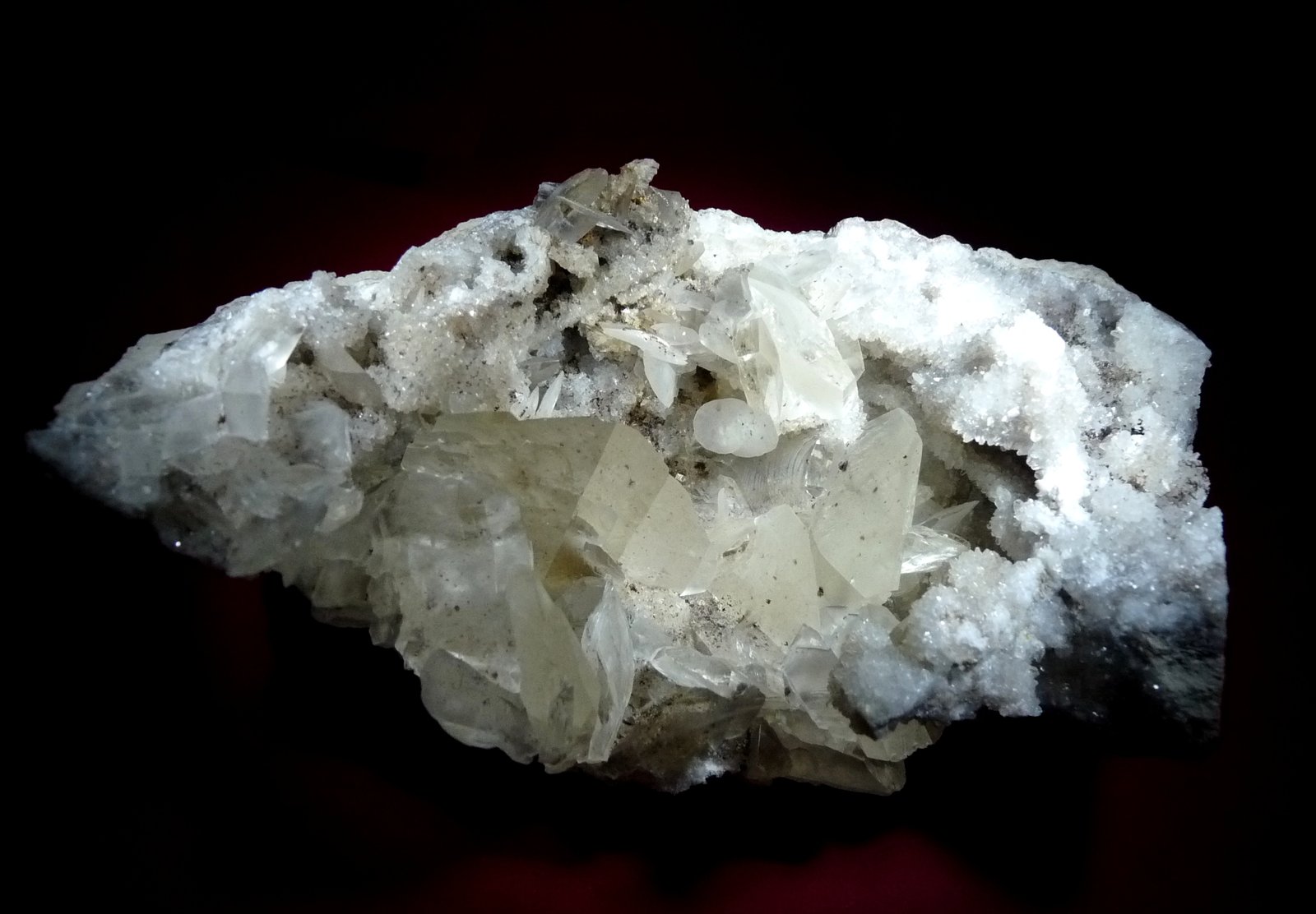 Yeso y Celestina.
130x80 mm.
(Autor: Jesus Franquesa Baucells)