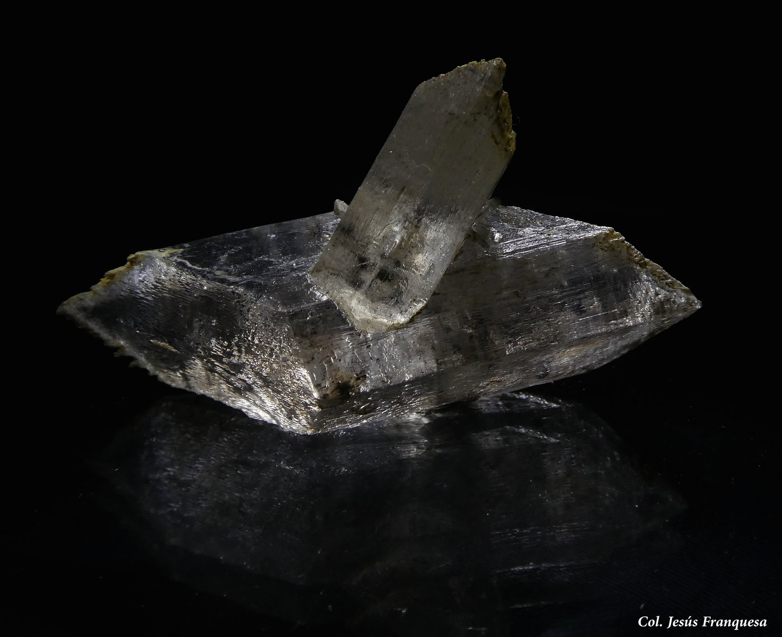 yeso
55x25 mm
(Autor: Jesus Franquesa Baucells)