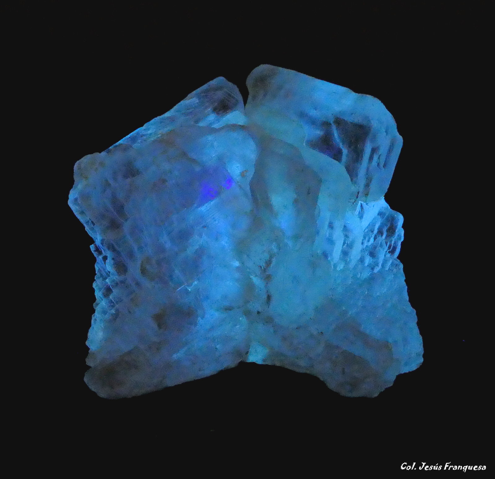 Yeso
83x80 mm.
(Autor: Jesus Franquesa Baucells)