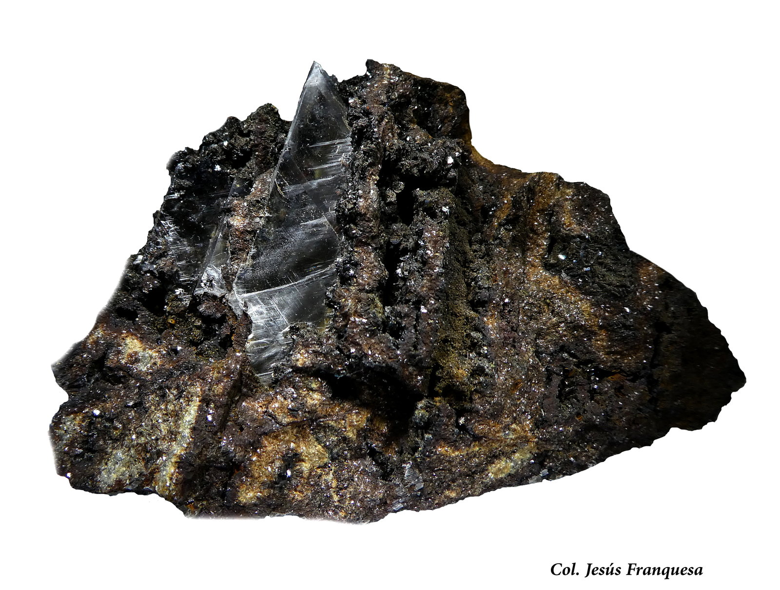 Yeso
80x65 mm.
(Autor: Jesus Franquesa Baucells)