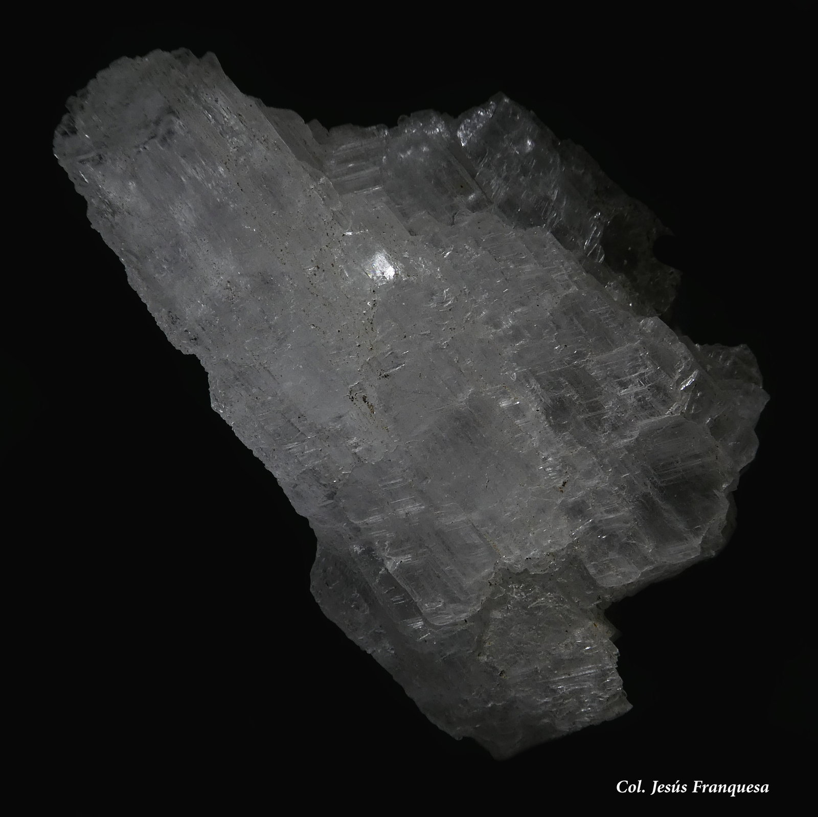 Yeso.
80x50 mm.
(Autor: Jesus Franquesa Baucells)