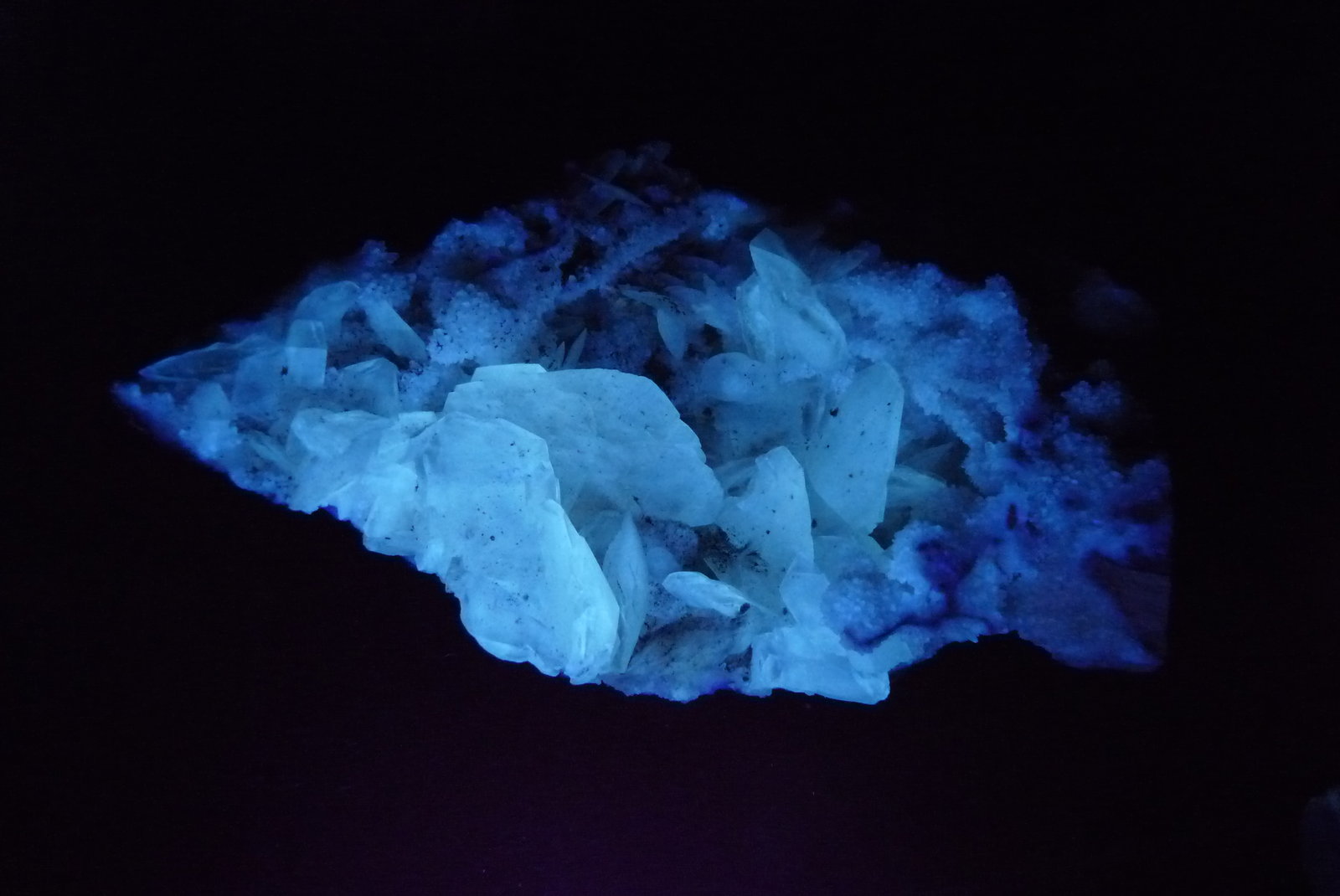 Yeso y Celestina.
130x80 mm.
(Autor: Jesus Franquesa Baucells)